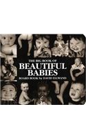 The Big Book of Beautiful Babies Board Book