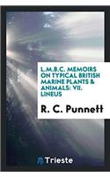 L.M.B.C. Memoirs on typical British Marine Plants & Animals: VII. Lineus