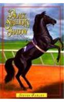 The Black Stallion's Shadow