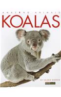 Koalas