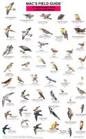 Mac's Field Guides: Northwest Park & Backyard Birds