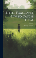 Little Foxes, and How to Catch Them