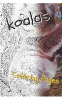 Koala Coloring Sheets