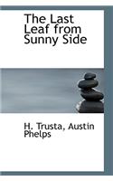 The Last Leaf from Sunny Side