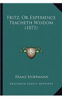 Fritz, Or Experience Teacheth Wisdom (1872)