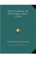 Wild Flowers Of New York, Part 1 (1918)