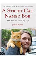 A Street Cat Named Bob: And How He Saved My Life(English)