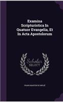 Examina Scripturistica In Quatuor Evangelia, Et In Acta Apostolorum
