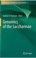 Genomics of the Saccharinae