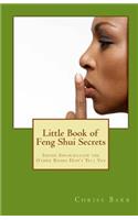 Little Book of Feng Shui Secrets: Inside Information the Other Books Don't Tell You