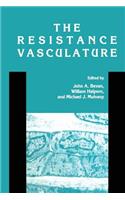 Resistance Vasculature