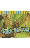 Stick Insects