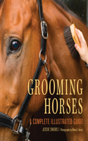 Grooming Horses