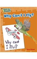 Why Can't I Fly?