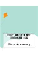 Stability Analysis Via Matrix Functions For Busies