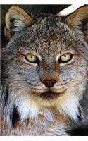 Beautiful Eurasian Lynx in the Forest Animal Journal: 150 Page Lined Notebook/Diary