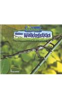 Hidden Walkingsticks