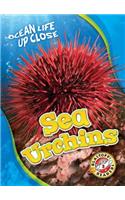 Sea Urchins