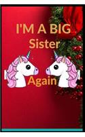 I'Am Big Sister Again