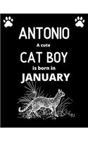 ANTONIO a cute cat boy is born in January