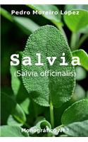 Salvia