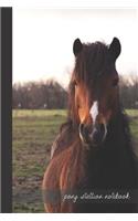 pony stallion notebook