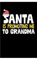 Santa Is Promoting Me To Grandma: College Ruled Lined Writing Notebook Journal, 6x9, 120 Pages