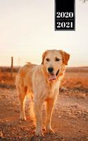 Golden Retriever Dog Calendar Week Planner 2020 / 2021 - Short Sunset Walk