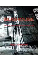 Bughouse: Paranormal-horror thriller