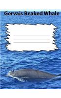 Gerva's Beaked Whale College Ruled Line Paper Composition Book: Whale Fan, College notebooks, Middle School Students, Teen Journals, Adult notebooks