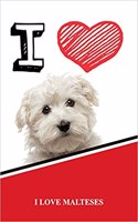 I Love Malteses: Blank Cookbook Recipe Journal Featuring 120 Pages 6x9