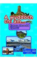 Cyfres a Wyddoch Chi: A Wyddoch Chi am Enwau Lleoedd Cymru?