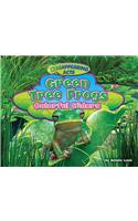Green Tree Frogs