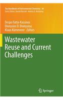 Wastewater Reuse and Current Challenges