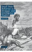Small State Behavior in Strategic and Intelligence Studies