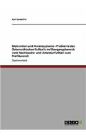 Motivation und Anreizsysteme - Probleme des Österreichischen Fußballs im Übergangsbereich vom Nachwuchs- und Amateurfußball zum Profibereich: (German)