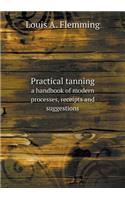 Practical tanning a handbook of modern processes, receipts and suggestions