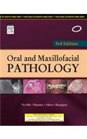 Oral And Maxillofacial Pathology