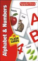 Flash Card: Alphabet & Numbers