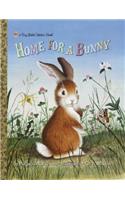 Home for a Bunny