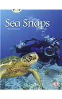 Bug Club Independent Non Fiction Year 1 Green A Sea Snaps