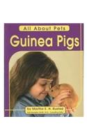 Guinea Pigs
