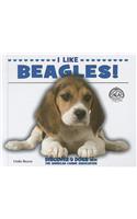 I Like Beagles!