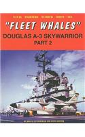 Fleet Whales Doug A-3 Skywarrior Pt. 2