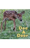 Doe Family Finds a Deer