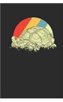 Turtles: Dotted Bullet Notebook - Gift For Turtle Fans