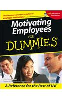 Motivating Employees For Dummies?