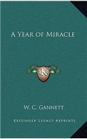 A Year of Miracle