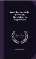 Contributions to the Forebrain Morphology in Amphibians