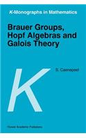 Brauer Groups, Hopf Algebras and Galois Theory